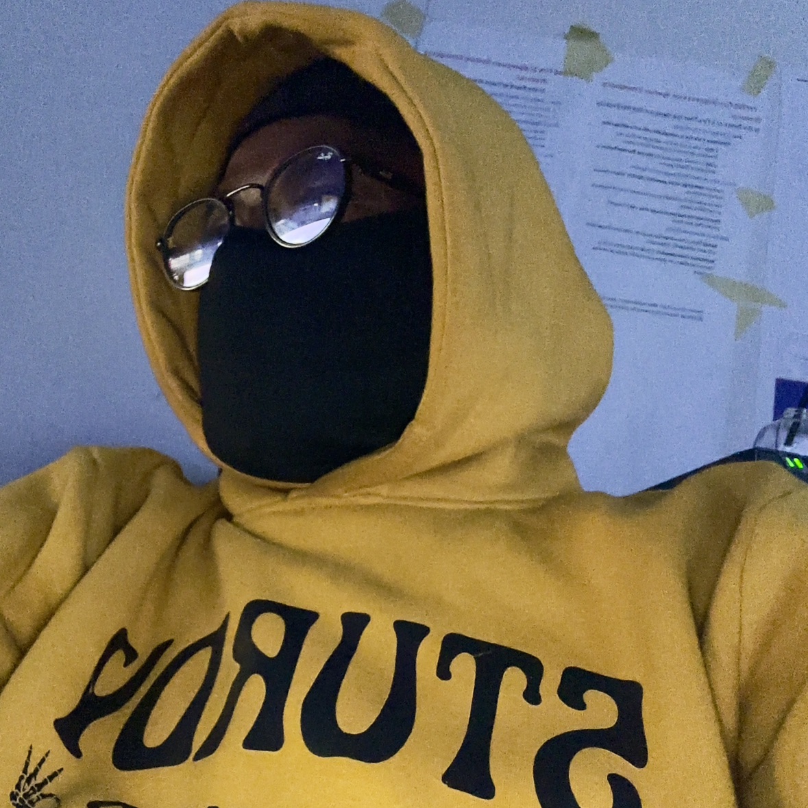 sir_naets